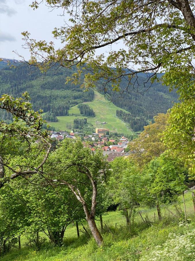 Kreischblick Sankt Georgen ob Murau Exterior foto